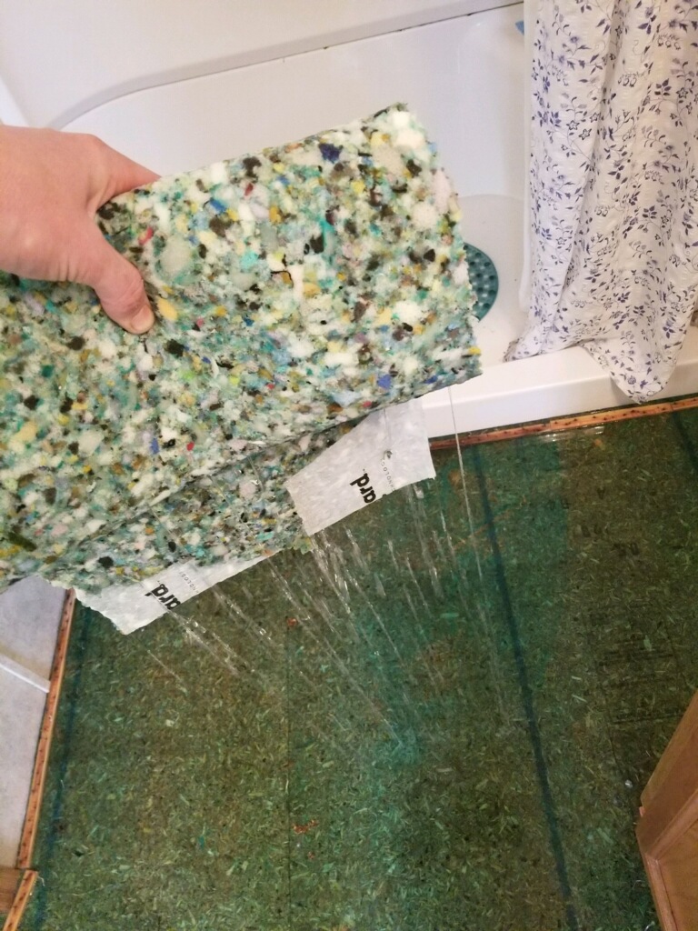 carpet padding saturated with water .jpg